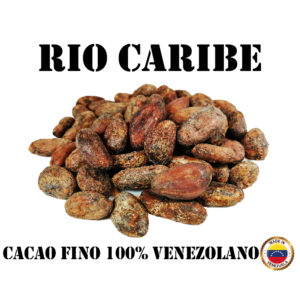 Granos de Cacao - Rio Caribe, Venezuela