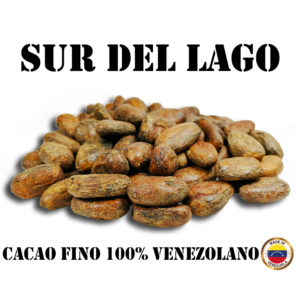 Granos de Cacao - Sur Del Lago, Venezuela