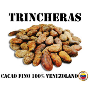 Granos de Cacao - Trincheras, Venezuela