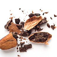 Grano de cacao troceado